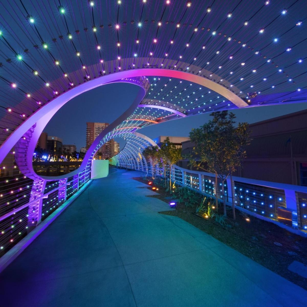 Ocean View By Convention Center & Apartment *