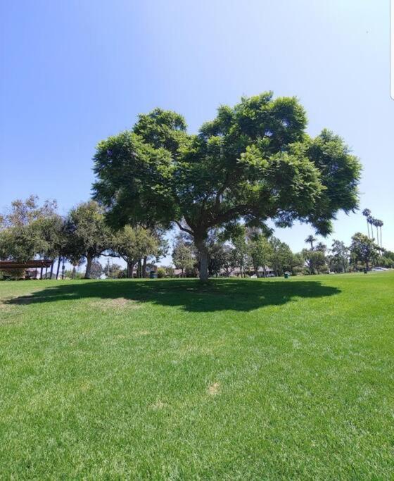 Beautiful Spacious 2 Bedroom, 2 Bathroom Apartment