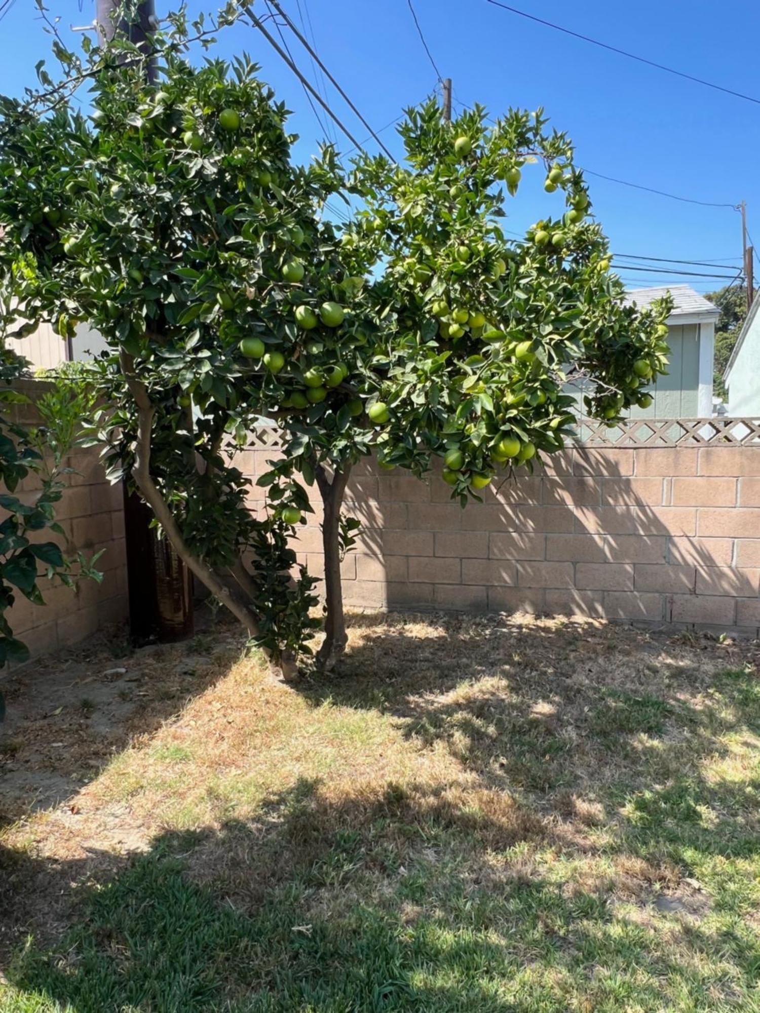 Holiday home Heartwell Park Beauty Long *