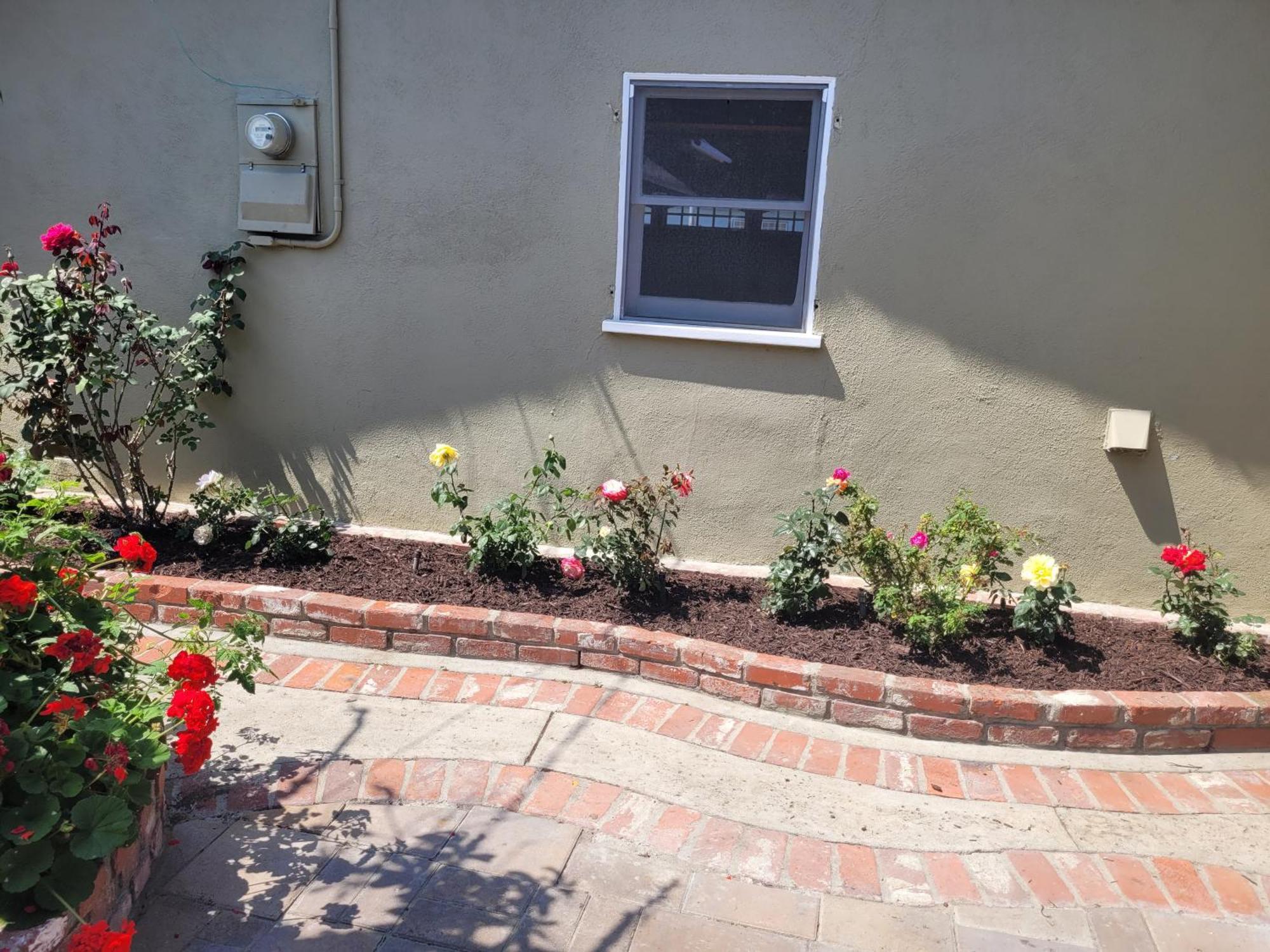 Extremely Chill 3 Bedroom * Long Beach