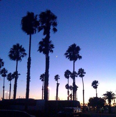 Seaport Marina 2* Long Beach